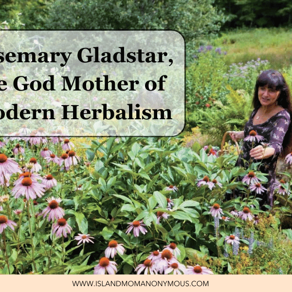 The 2 Best Books to Start Home Herbalism (for Women)